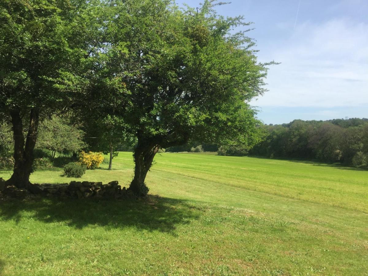 Gite Au Calme 2 A 6 Personnes Dans Un Paysage Totalement Paisible -Plages A 22 Min- Quite Cottage 2 To 6 Persons In Total Peaceful Landscape -Beaches At 22 Min- Landévant Eksteriør bilde